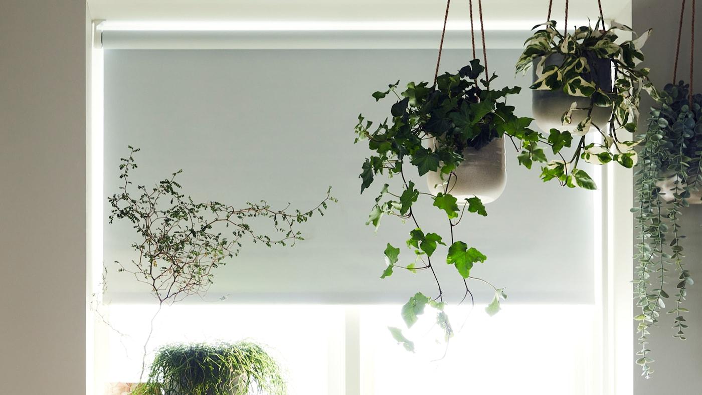 IKEA FYRTUR Smart Blackout Roller Blind
